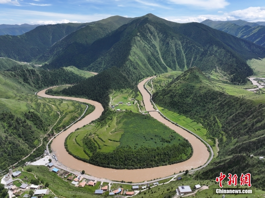 爱游戏体育ayx-【植树节特刊】“植”此